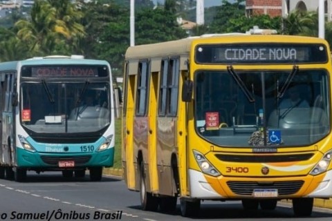 Novos ônibus ou nova tarifa? A verdade por trás do anúncio da Prefeitura de Ilhéus